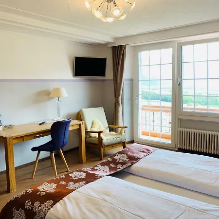 加斯多夫祖尔布德旅馆 3* Jenins