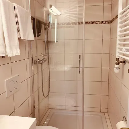 加斯多夫祖尔布德旅馆 3* Jenins