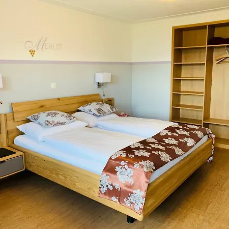 加斯多夫祖尔布德旅馆 酒店 3*